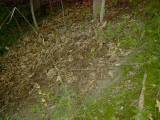 PICT2901
